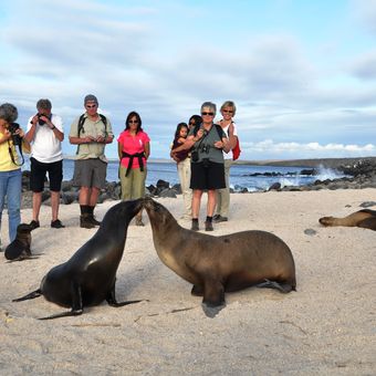 Inselhopping auf den Galapagosinseln