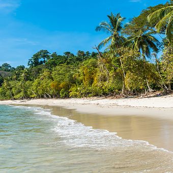 Costa Rica Reisen - Ihr Spezialist Papaya Tours