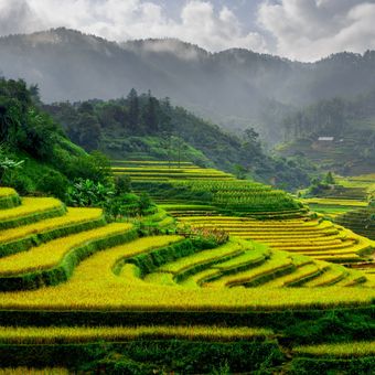 Vietnam Reis Felder Mu Cang Chai - Wanderung Sapa Rundreise Vietnam