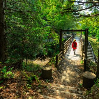 japan_Kumano Kodo