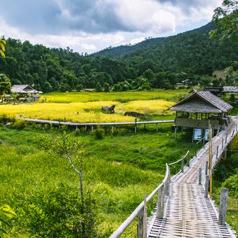 Thailand_Pai_Reisfelder_Holzhaus