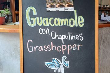 Gabriele Marie-Luise Göhler