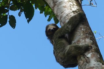 Bernhard Albrecht Söder