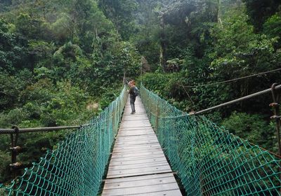 Kolumbien Ciudad Perdida Hängebrücke