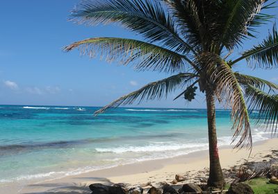 Little Corn IslandCorn Island