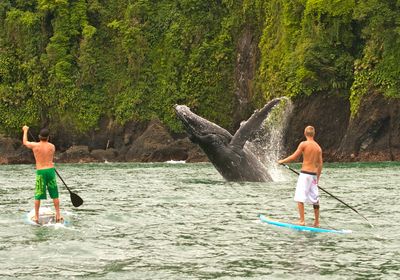 kolumbien nuqui standuppaddle Kopie