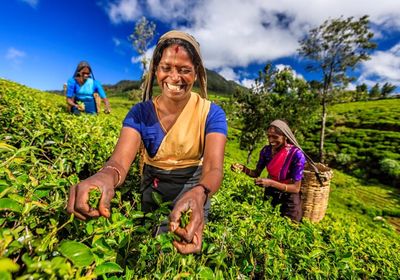 Sri Lanka Nuwara Eliya Teeplantage Urlaub Begegnung Einheimische