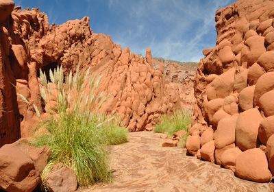 Argentinien_Cafayate_Schlucht
