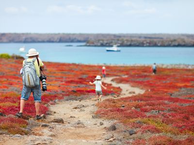 Ecuador Galapagos Plazas AdobeStock 49380510