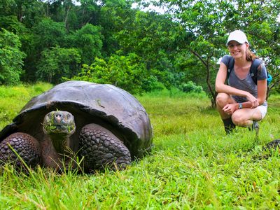 Ecuador Galapagos Schildkröte mit Mensch AdobeStock 176310436