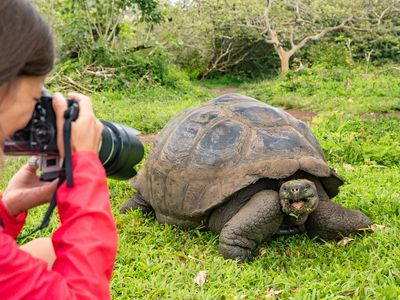 Ecuador Galapagos Schildkröte und Fotograf AdobeStock 279573494