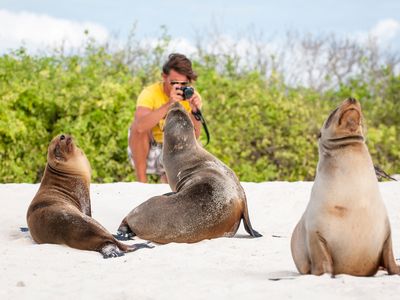 Ecuador Galapagos Seelöwen mit Fotograf AdobeStock 323630939