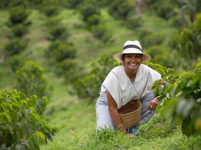 Kolumbien - Kaffeepflückerin AdobeStock_430997847