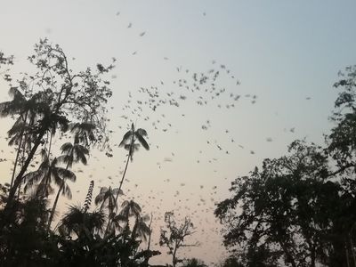 Kolumbien-Calanoa-Santander-Latinconnect