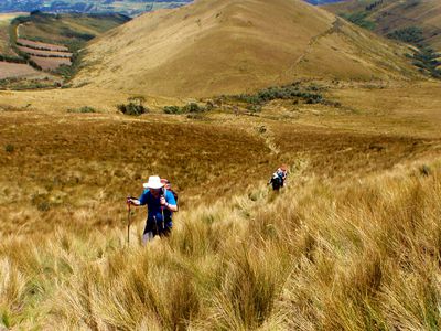 Ecuador-Cotopaxi-Páramo-Landschaft-eigenes Bild
