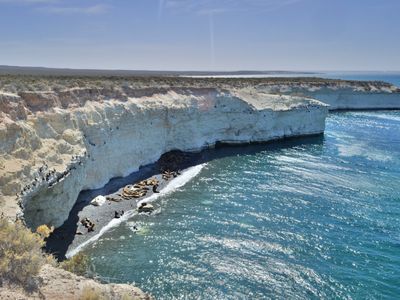 Argentinien - Peninsula Valdes - Latinconnect