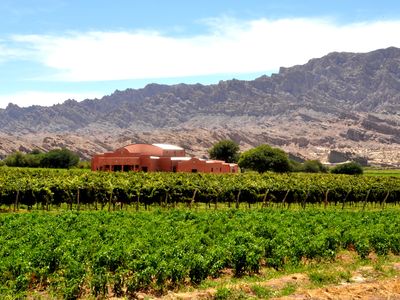 Argentinein- Cafayate- Weinregion- eigenes Bild