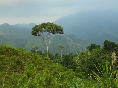 Kolumbien-Ciudad Perdida-Latinconnect