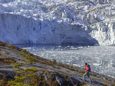 Argentinien(Chile - Cruceros Australis - Wanderung - Bild von Australis