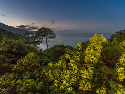 Kolumbien-Tayrona Nationalpark-Regenwald-Neptuno