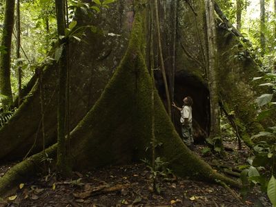 Ecuador-Amazonas-Latinconnect