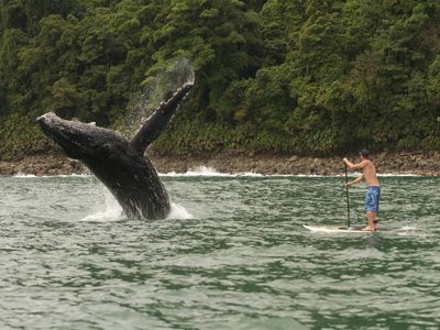 Kolumbien-Pazifik-Nuqui-Stand Up Paddle-Latinconnect