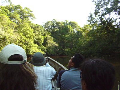 Ecuador-Dschungelwanderung-Eli