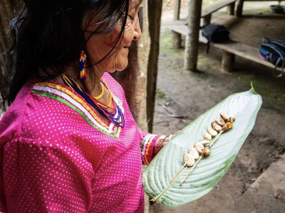 Ecuador-Hakuna Matata-Adobe