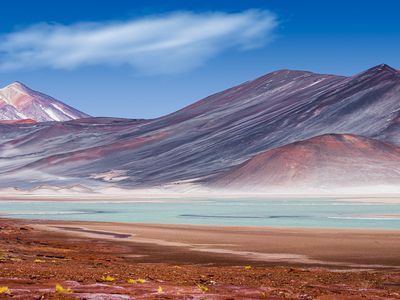 Chile - Laguna Altiplanica - Adope