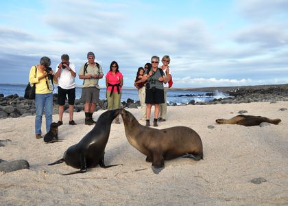 Inselhopping auf den Galapagosinseln
