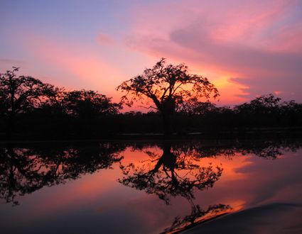 Amazon River Lodge