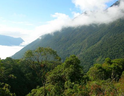 Manu Nationalpark