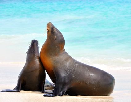 Galapagos Inselhopping