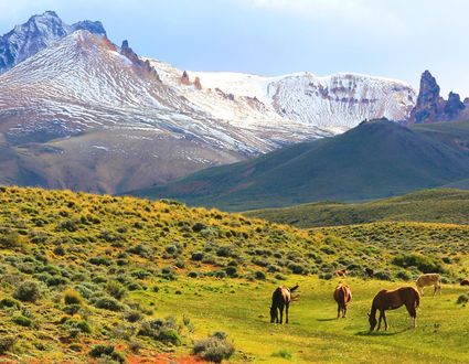 Abenteuer Carretera Austral und Ruta 40