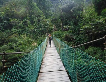 Trekking Ciudad Perdida
