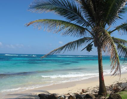 Little Corn Island