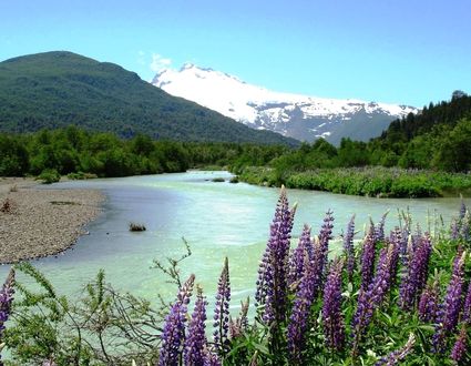 Bariloche: dichte Wälder und tiefblaue Seen
