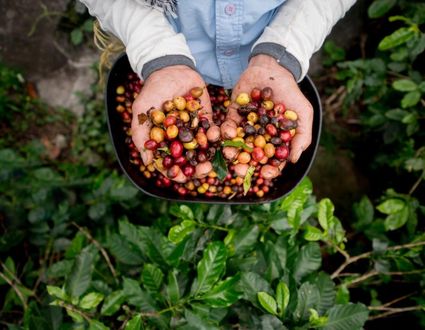 Café de Colombia (100% privatgeführt)