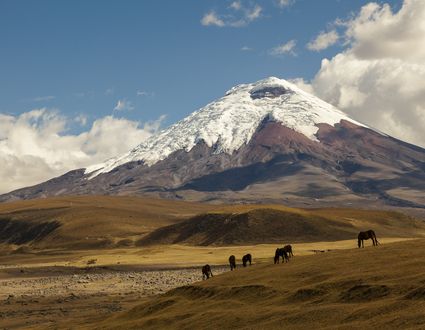 Cotopaxi Trek (100% privatgeführt)