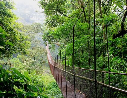 Von Panama-Stadt nach Bocas del Toro