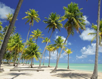 Nordosten: Von Recife nach Salvador