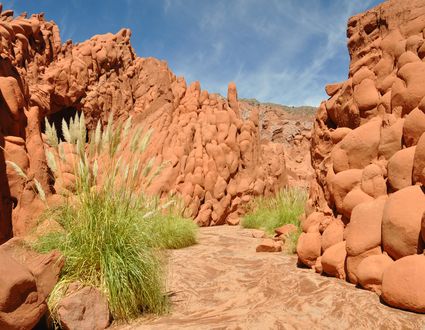 Farbenspektakel Salta