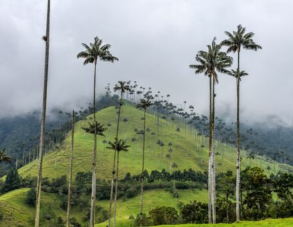Naturparadies Kolumbien