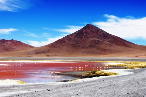 Bolivien Uyuni rote Lagune