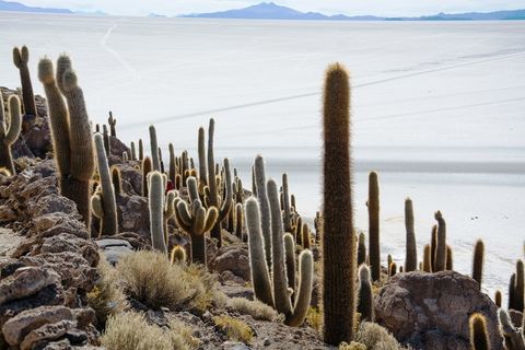 bolivien salardeuyunijpg