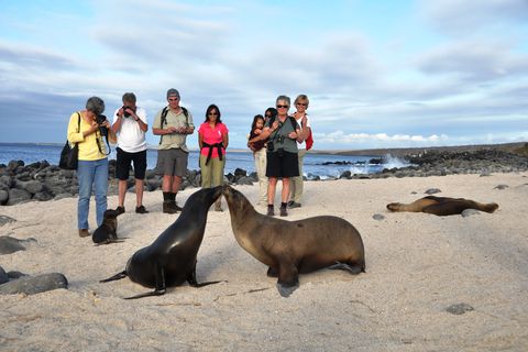 Inselhopping auf den Galapagosinseln