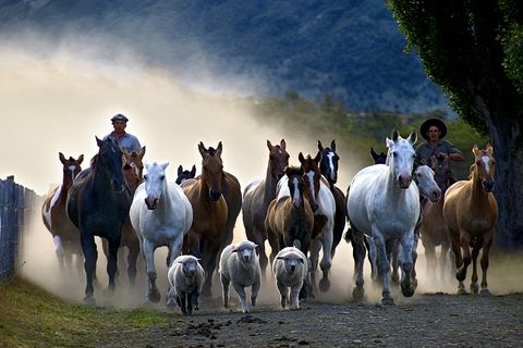Argentinien Nationalpark Los Glaciares Estancia Nibepo Aike Latventure
