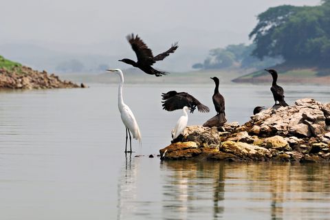 El Salvador_Suchitlan_MesoamericaTours