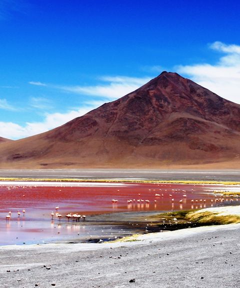 Bolivien Uyuni rote Lagune