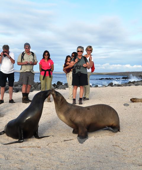 Inselhopping auf den Galapagosinseln